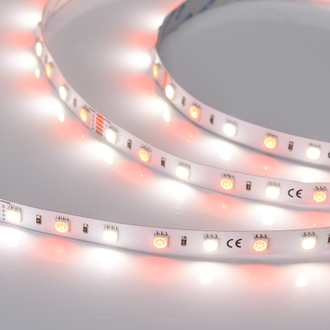 Лента Arlight RT-B60-10mm 24V RGBW-Day (14.4 W/m, IP20, 5060, 5m)