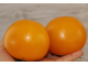 Fragola di Lucca. Италия