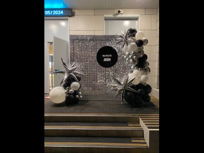 Фотозона из шаров с пайетками 2 на 2 м