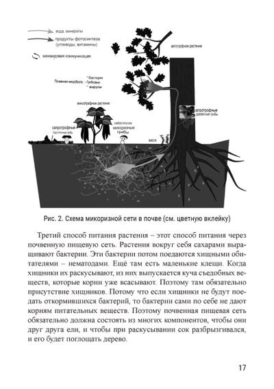 Риэмс и Джадам. Эффективные технологии плодородия. В 2-х томах. Том 1. Сост. и перевод с англ. Елена Кулагина.