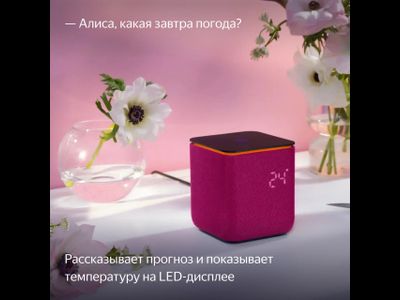 Умная колонка Яндекс Станция Миди с Алисой, малиновый, Zigbee