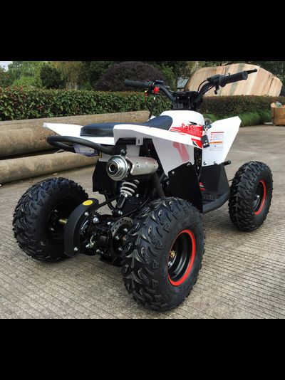 Детский квадроцикл Motax GEKKON 90cc