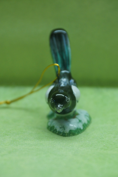 Сорока - Птицы России