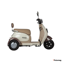 Электротрицикл Rutrike Gelbert Ogma 48V/60V 650Вт бело-коричневый