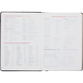 Ежедневник недатированный InFolio Britnnia I508/bordo, 140х200, 160л (бордовый)