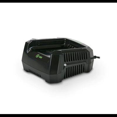 Зарядное устройство Greenworks GC82C 4А