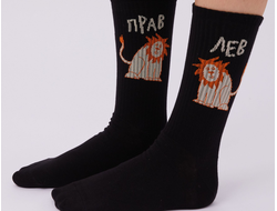 Я лев, ты прав!