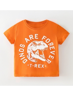 Футболка TimDim TD-7273