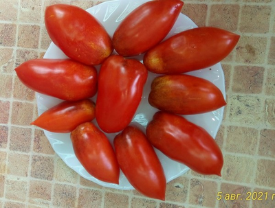 Томат Osu o Blonde avec Tetons (Пышногрудая блондинка Osu)