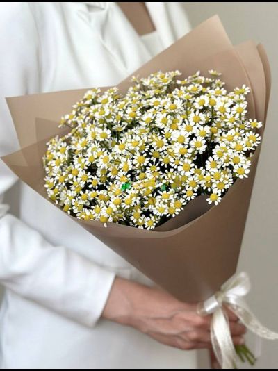 Букет из 9 кустовых ромашек