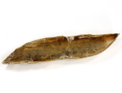 Гипс, кристалл, Россия, Ставропольский край (86*17*10 мм, 22 г) №29488