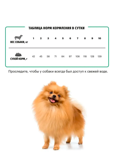 Karmy Mini Junior (Карми Мини Юниор) для щенков мелких пород, 2 кг