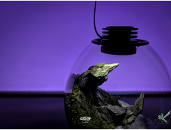 Биобутылка Biolark LED PD 210 (215мм х 240мм)