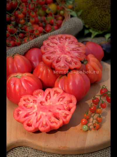 Томат Etoile (Этуаль), 10 шт