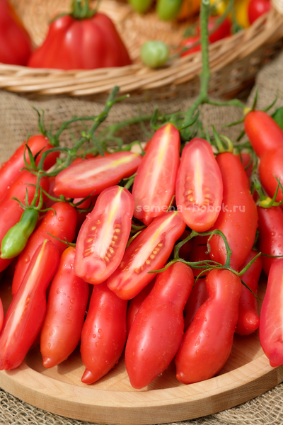 Томат Butalina di Castellamonte  (Бутылочный из Кастелламонте), 10 шт