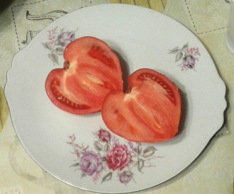 Семена томата Спадаро