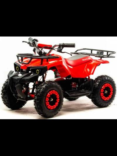 Квадроцикл детский MOTOLAND ATV E009 1000Вт