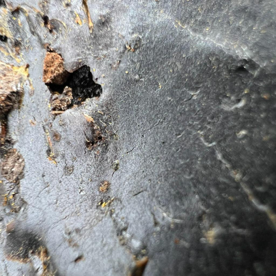 Смола Алоэ - Сабур ( Кения ) 10 гр.