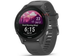 Garmin Forerunner 255 Slate Gray (010-02641-00 / 010-02641-10 / 010-02641-43)
