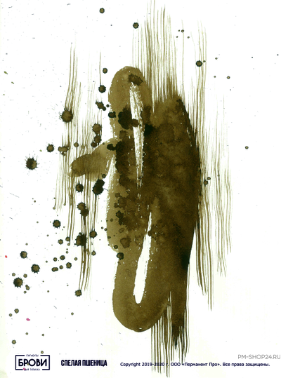 Спелая пшеница Брови Анны Куцеволовой - pm-shop24.ru