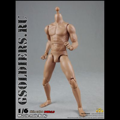 Тело мускулистое с шеей 1/6 - NEW:2.0 Body NO: BD003 - COOMODEL