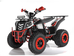 Квадроцикл WELS ATV EVO X2