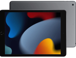 Apple iPad 9th Wi-Fi + LTE 64GB Серый