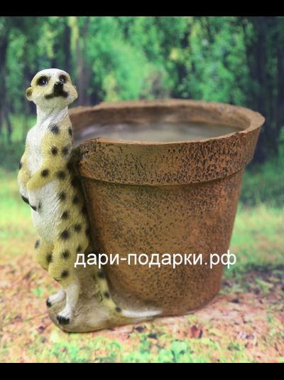 Кашпо Сурикат Счастливчик 23*22см   0,9кг   полистоун Россия 1030/011216