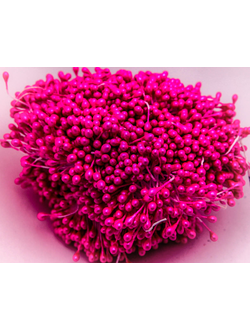 Тычинки капельки около 340 нитей , двусторонние , фуксия темная