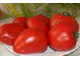 Zore’s big red