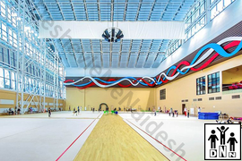 Аренда ковра для художественной гимнастики DNN