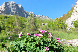 Поход к морю через горы "Восток"