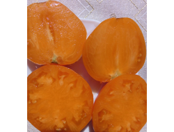 Томат Верна оранжевая