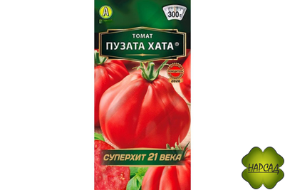 ТОМАТ "ПУЗАТА ХАТА" (1,7 м, 400 г) САХАРИСТЫЕ!