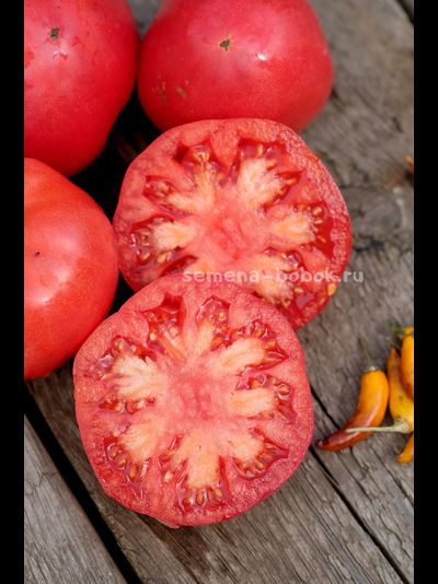 Томат Минусинский Бурлак, 10 шт