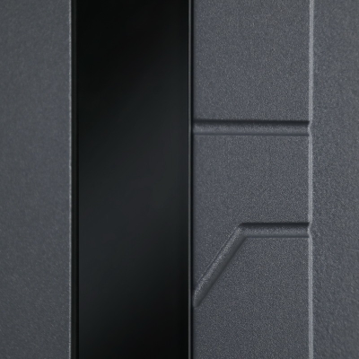 Стальная дверь   Forest с зеркалом