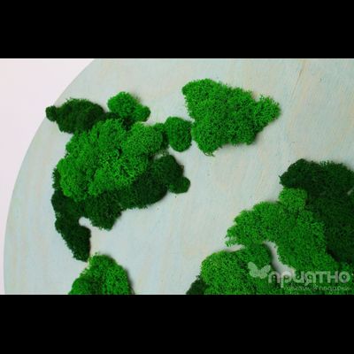 ЖИВАЯ ЭКО-КАРТИНА 1041