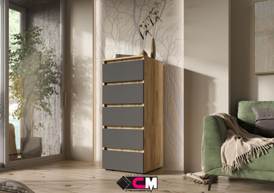 Гостиная ХЕЛЕН Дуб Крафт золотой/Графит