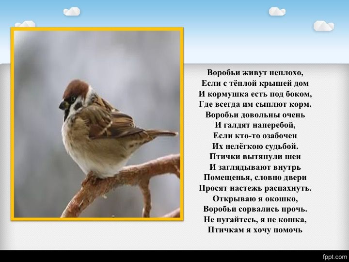 Птицы на чувашском языке с переводом на русский с картинками