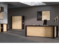 Кабинет руководителя ALTO