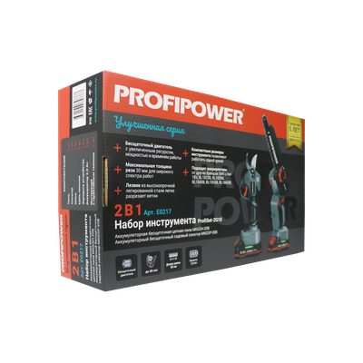 Аккумуляторный бесщеточный НАБОР 2в1 PROFIPOWER ProfiSet-2G20
