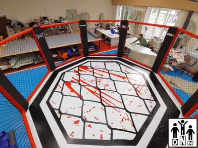 Восьмиугольный ринг (Октагон) на помосте (диаметр 7 м, высота помоста 1 м) DNN