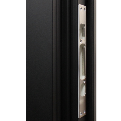 Стальная дверь   Jazz. Заказная модель.