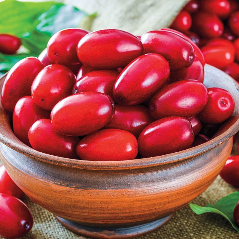 Кизил для варенья Благоедов