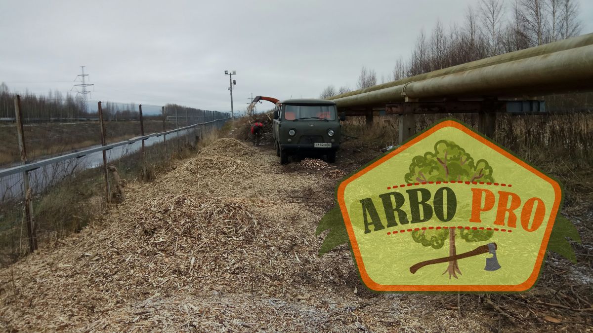 Расчистка берега канала в Великом Новгороде