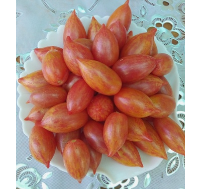 Томат Конфета сладкая сосулька (Candy Sweet Icicle)