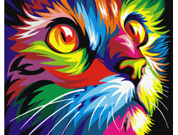 Картина по номаерам - Радужный кот, 40*50 см