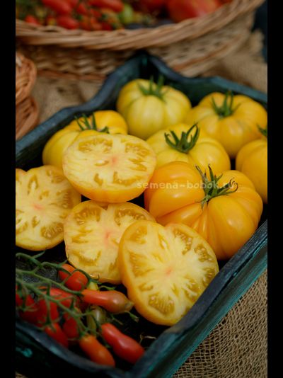 Томат CDOXCDH Б. Хортона, 10 шт