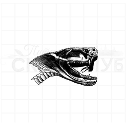 штамп винтажный мышцы головы гадюки