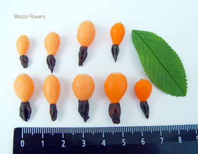 "Лесной шиповник " Силиконовый молд